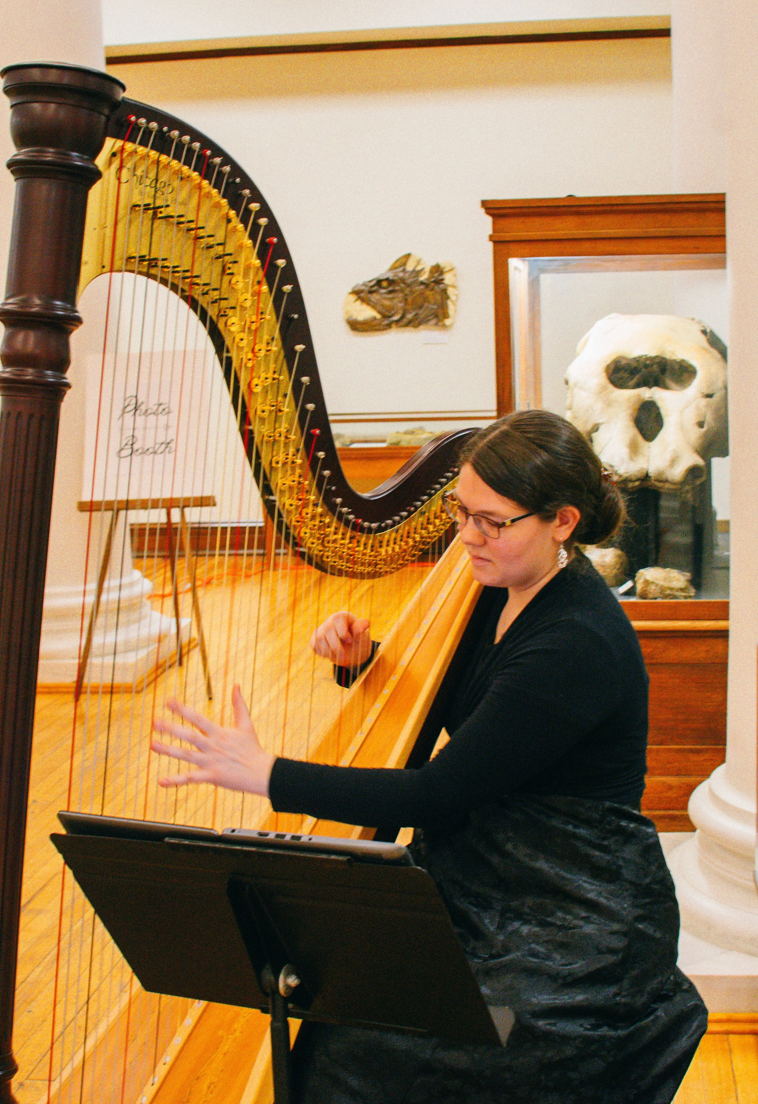 An event at the Alabama Museum of Natural History on The University of Alabama campus