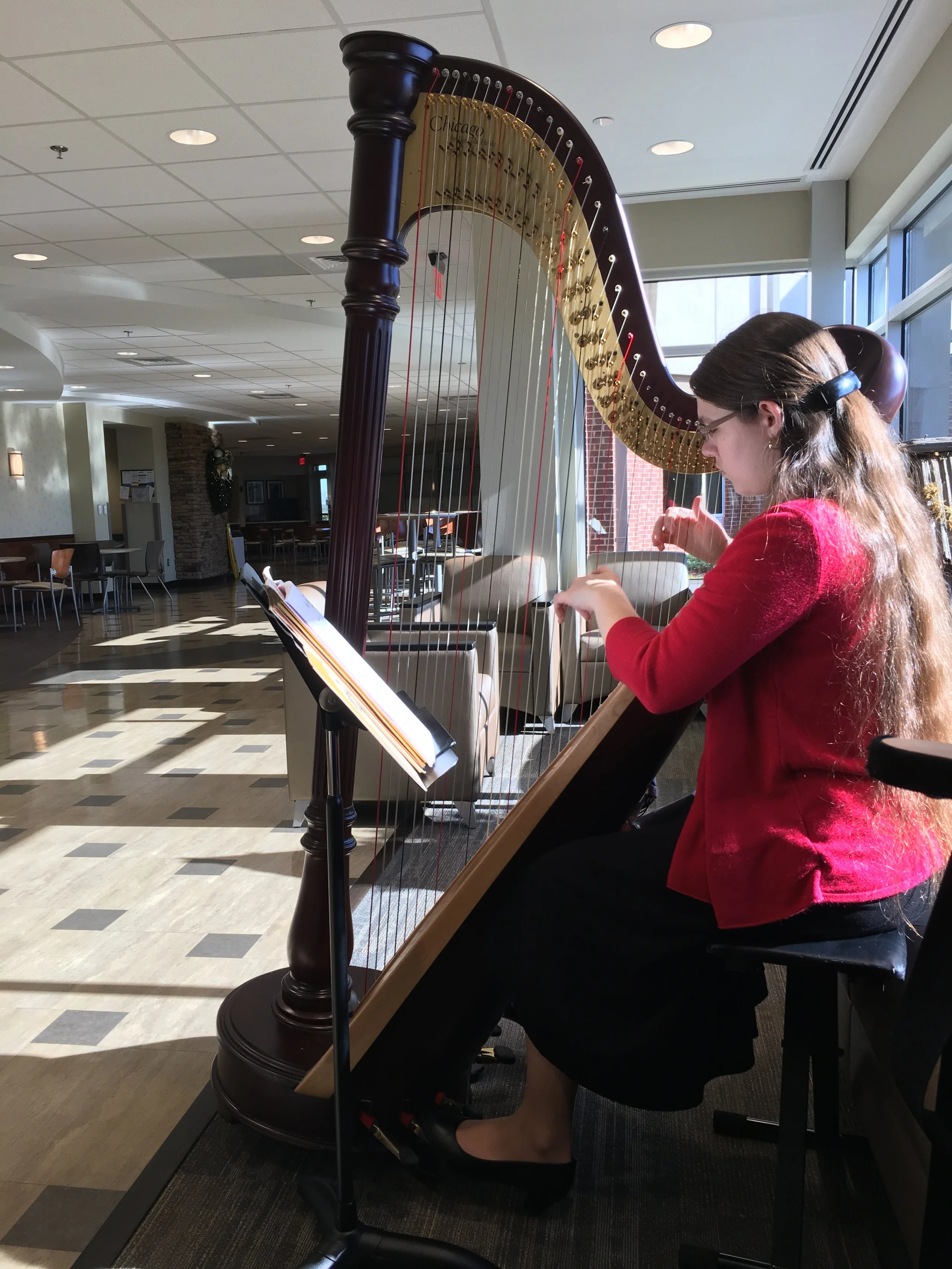 Festive background music at Christmas for hospital staff and visitors at St. Vincent's Chilton in Clanton, Alabama