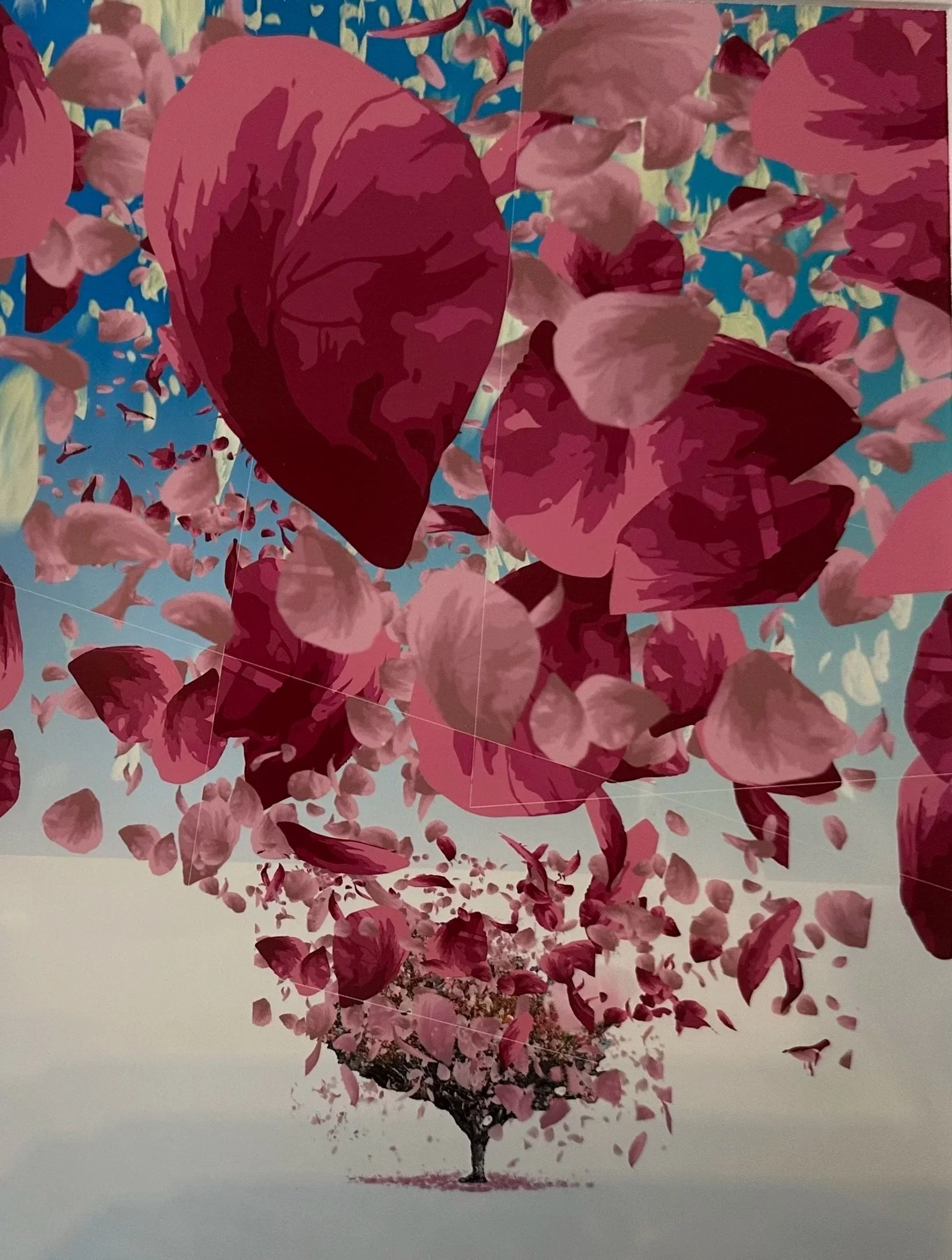 Hanami blossom celebration