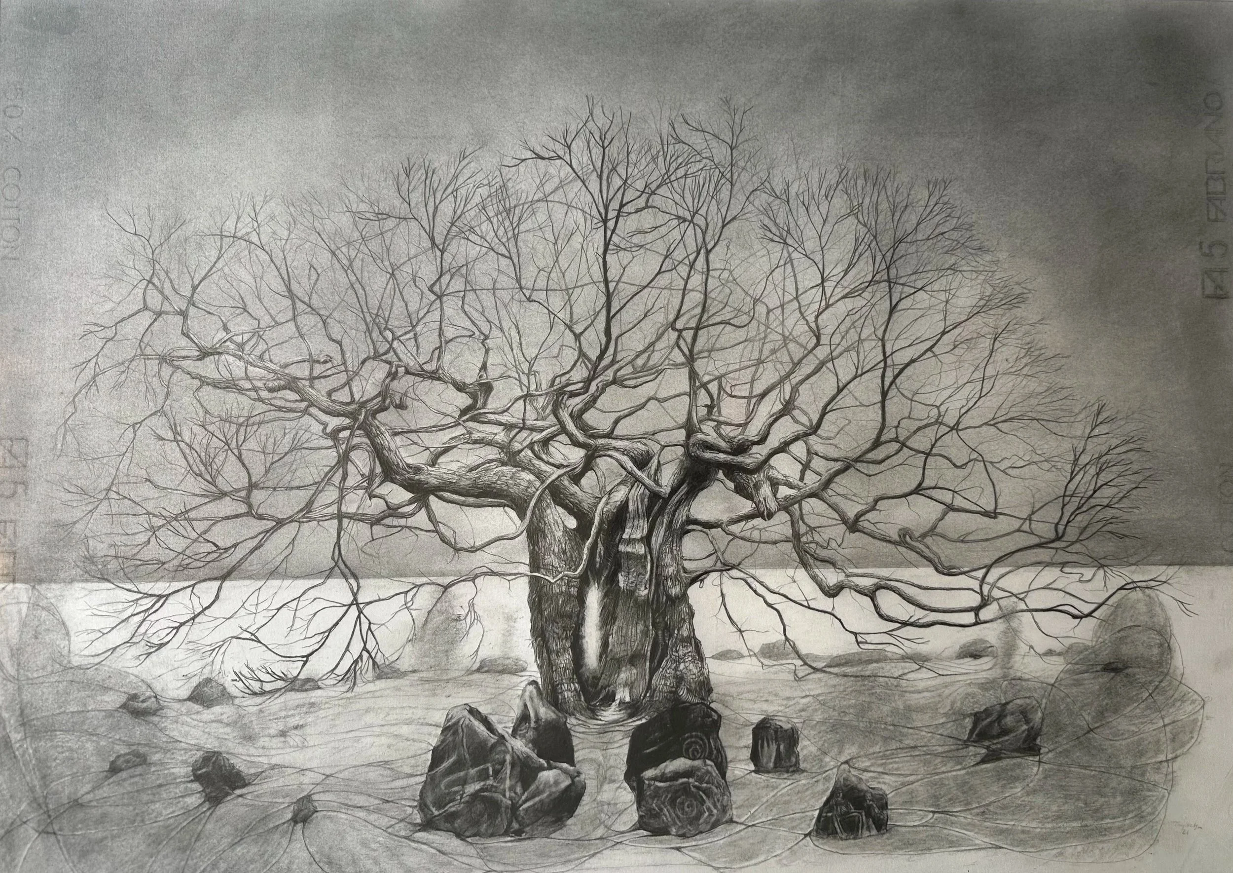 Allerton: ancient oak and calderstones