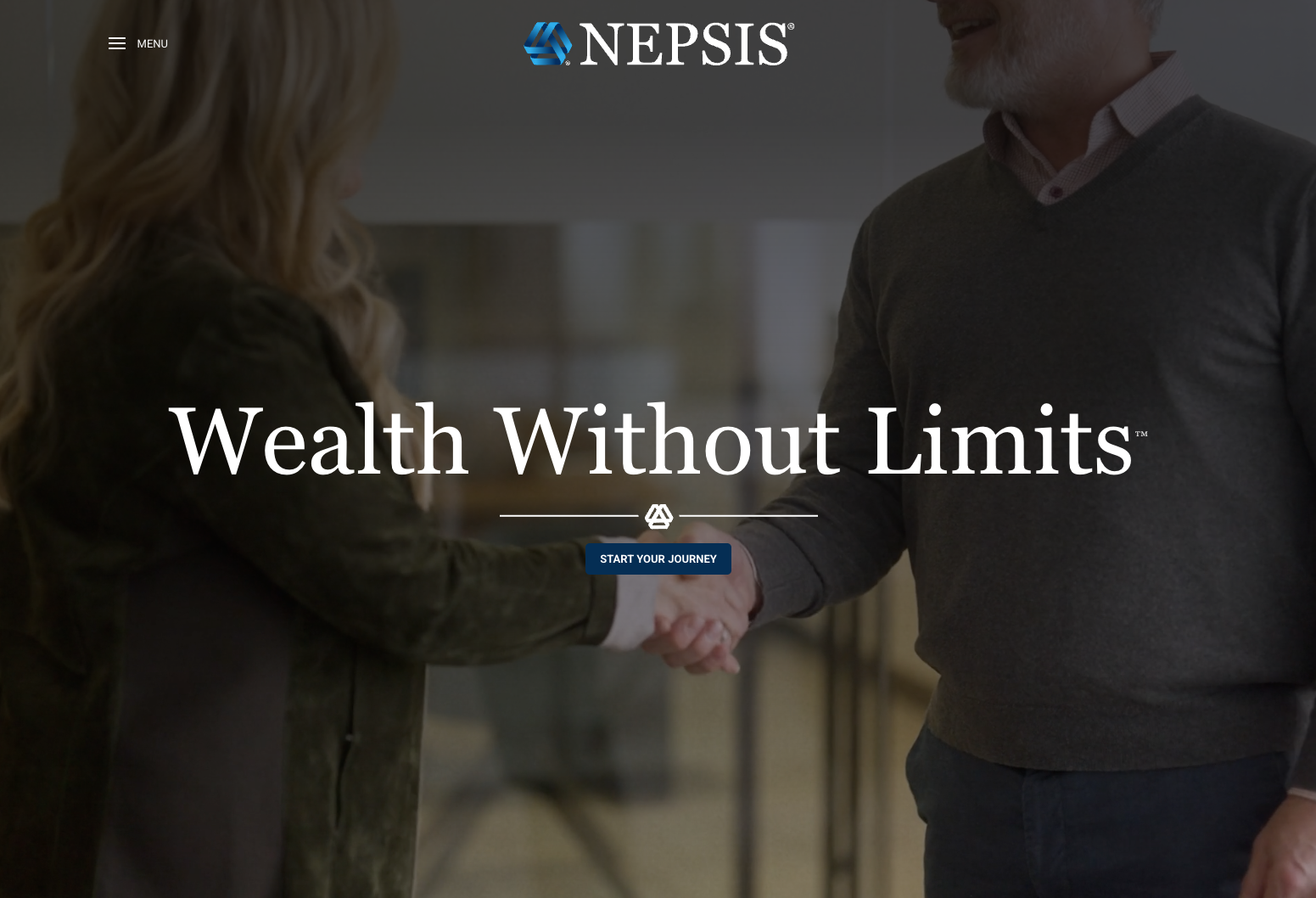 Nepsis Website Design