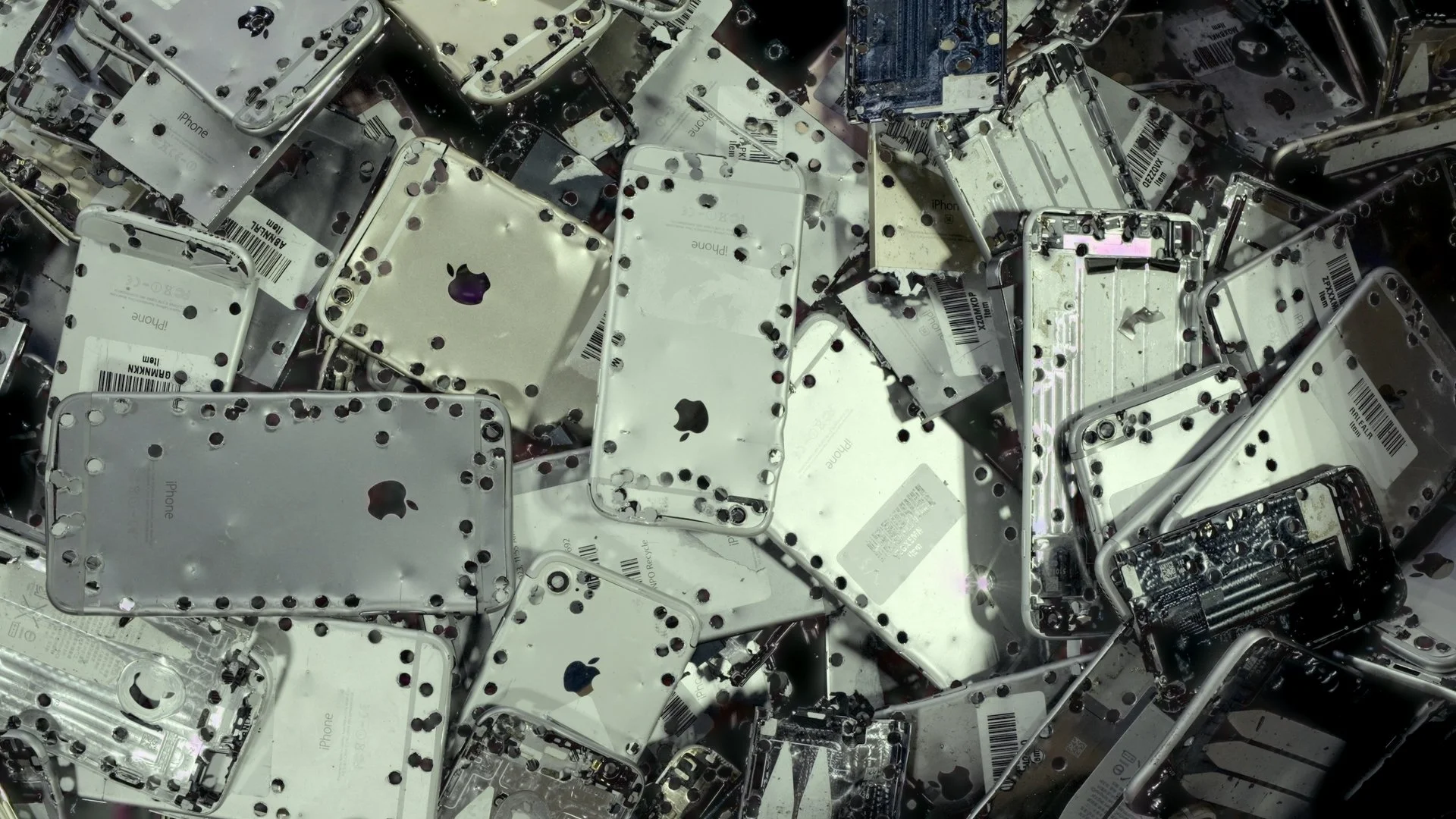 Beyond Noise "CIRCULARITY IN ACTION"