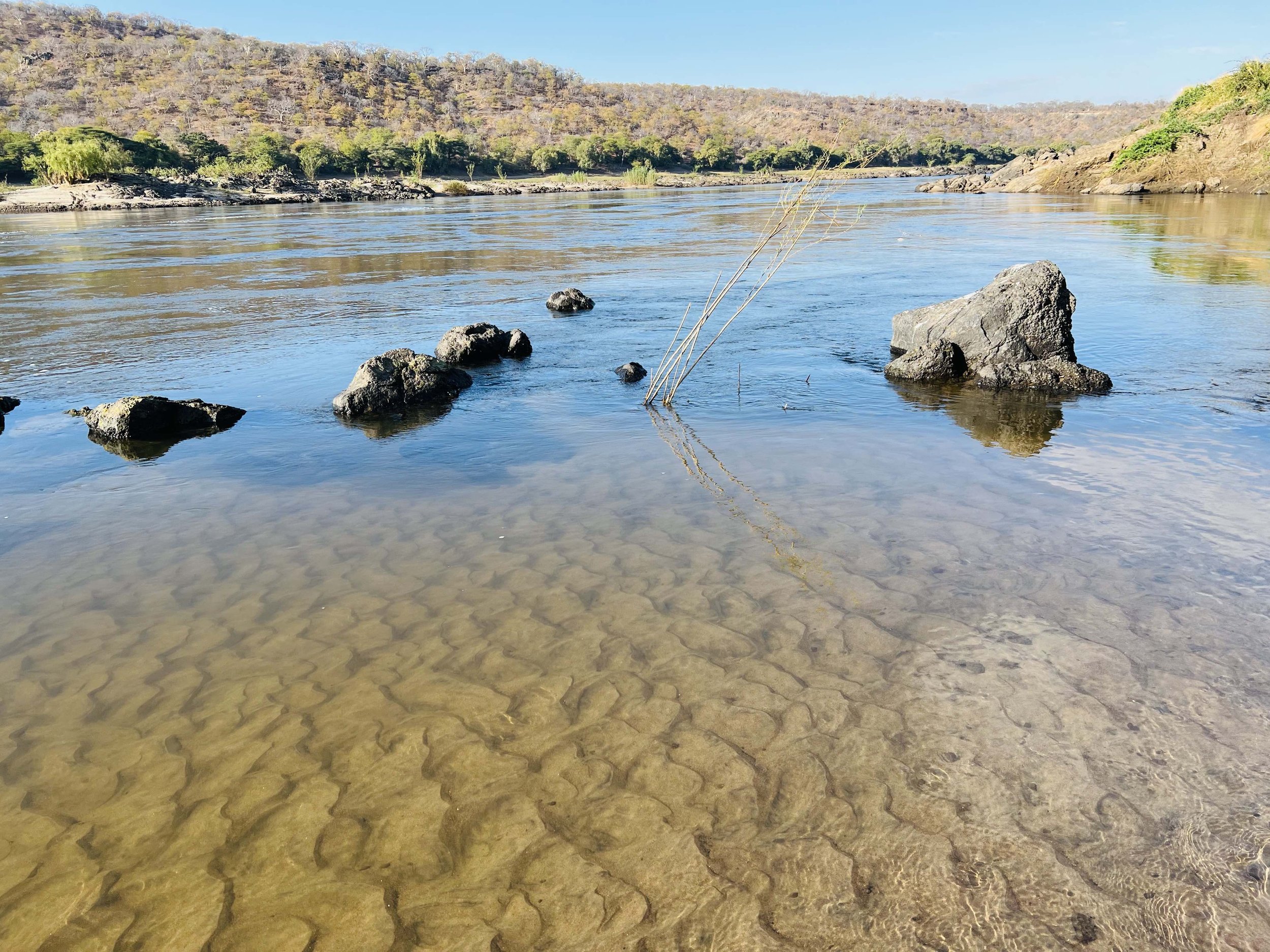 River in front of camp, June 2022