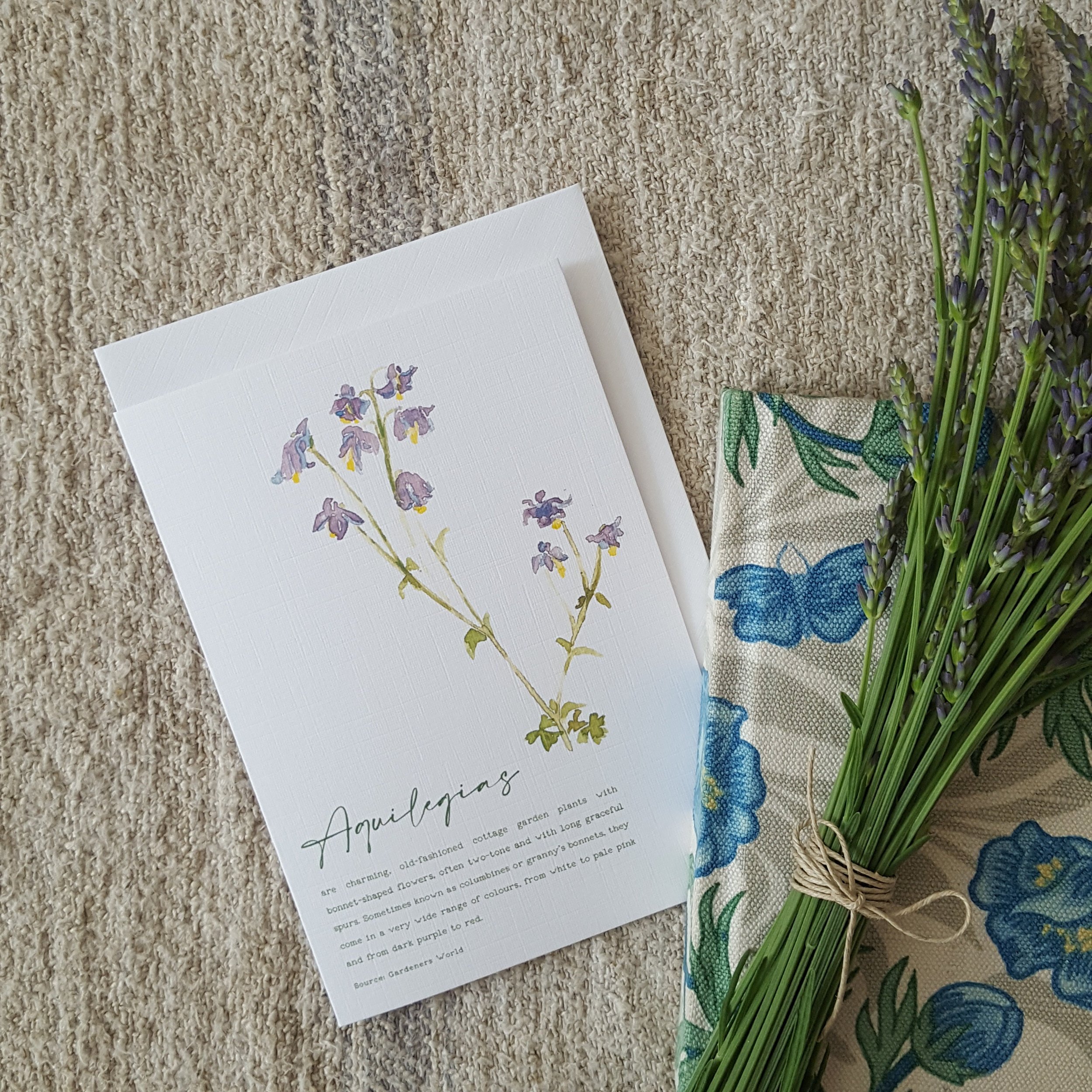 https://i.etsystatic.com/13799759/r/il/86a1ec/2365007138/il_fullxfull.2365007138_bcwp.jpg