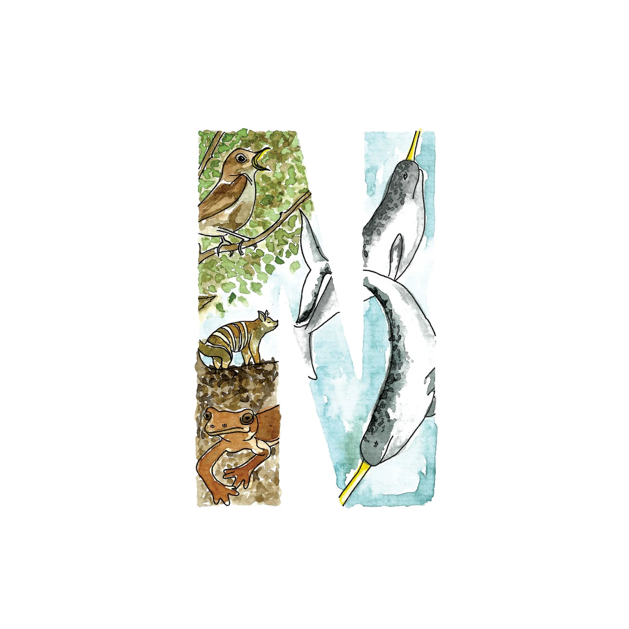 N-initial-print-asts.jpg