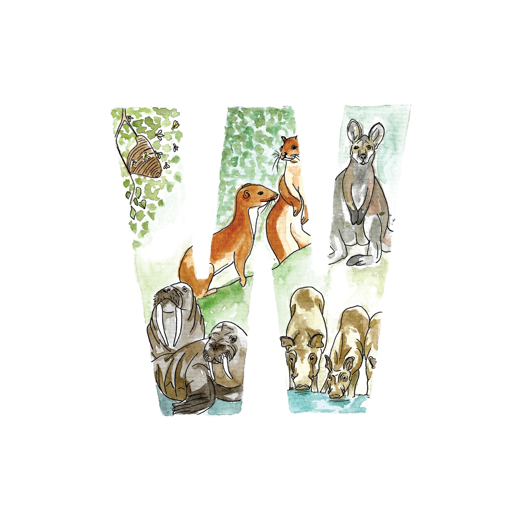 W-initial-print-asts.jpg