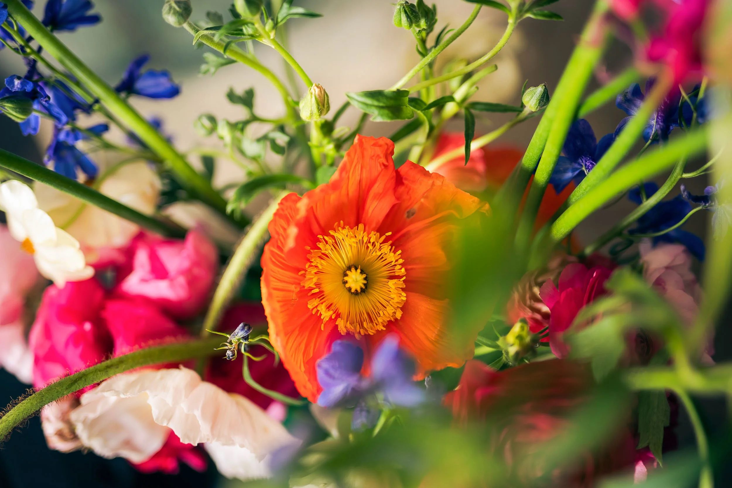 PaulReadPhotography-instagram-paulreadphoto_weddings-6.jpg