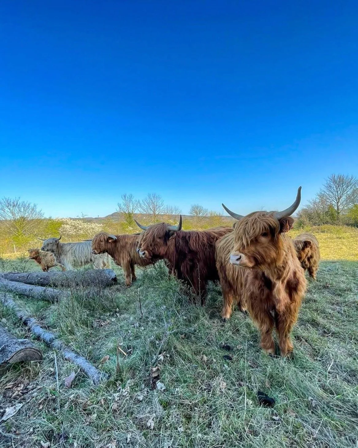 spring set up 💐🛎 NEXT RETREAT !

On compte les jours jusqu'&agrave; l'arriv&eacute;e du printemps!
Offrez-vous un retraite de yoga et venez passer 3 jours avec nous dans ce cadre incroyable en pleine nature &agrave; quelques minutes de Lyon.

20 au
