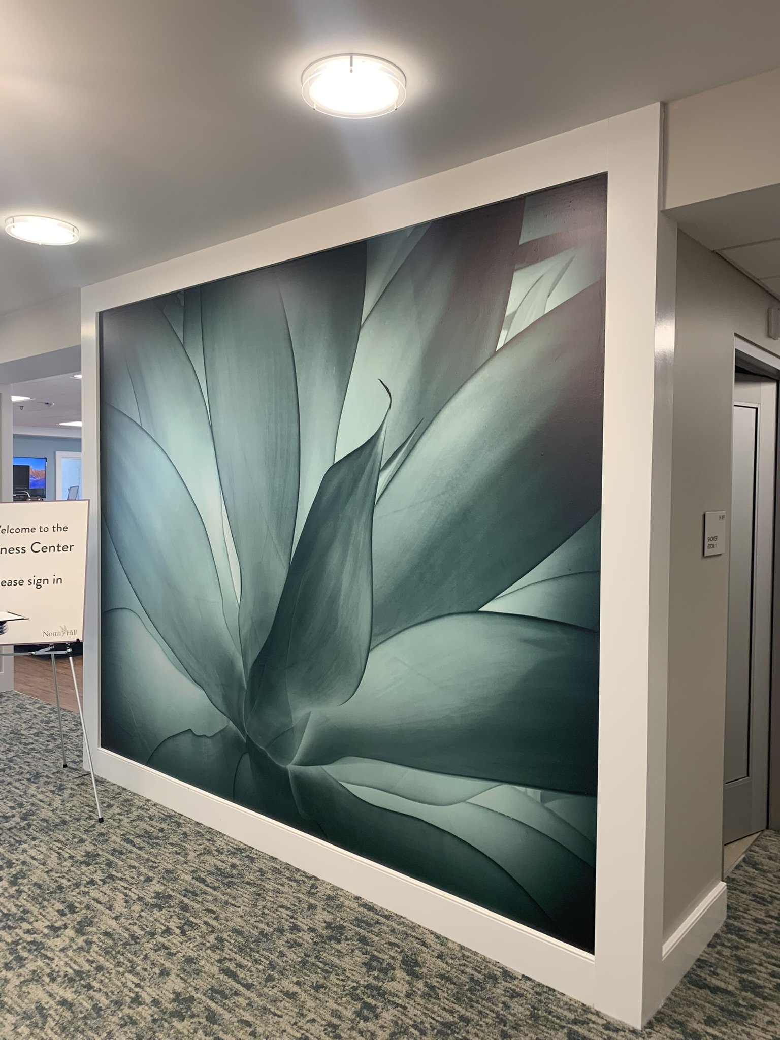 North Hill - Wellspring Mural