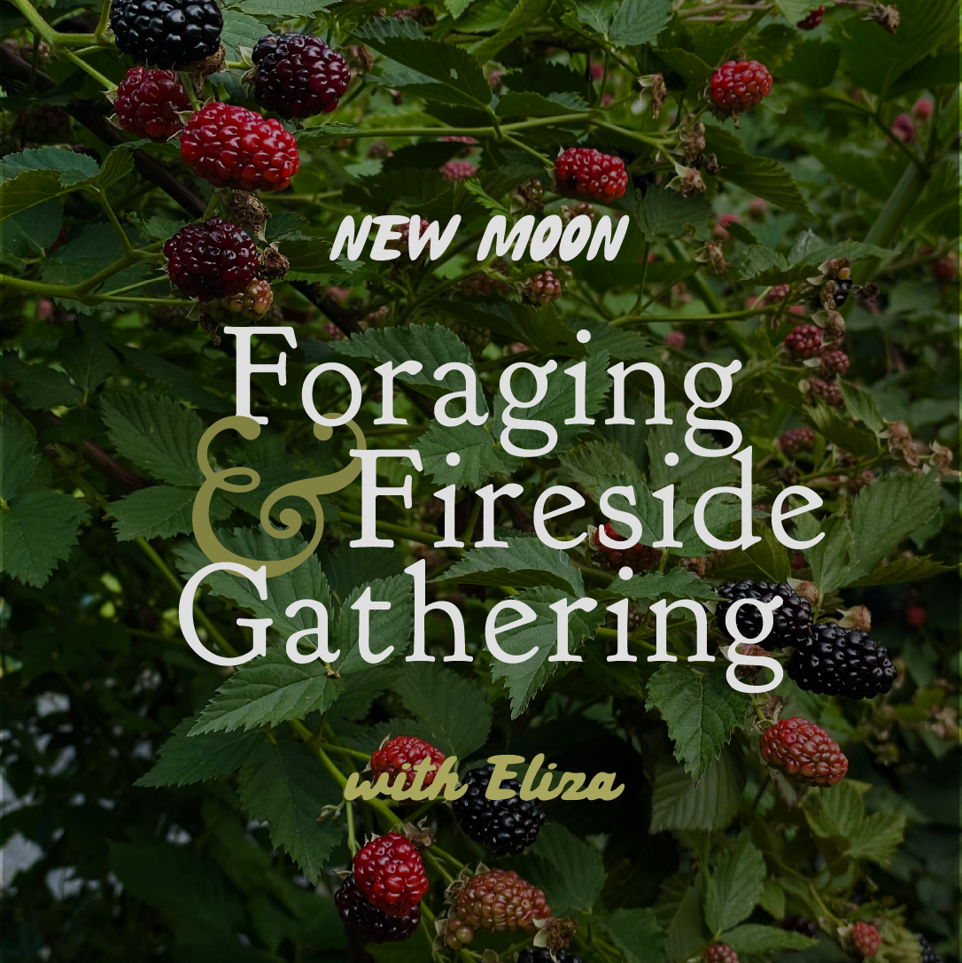 New Moon Foraging & Fireside Gathering with Eliza Crofts