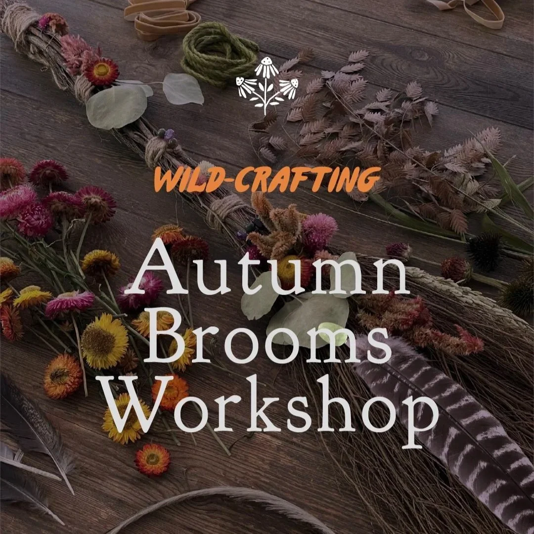 Wild-Crafting Workshop: Autumn Brooms