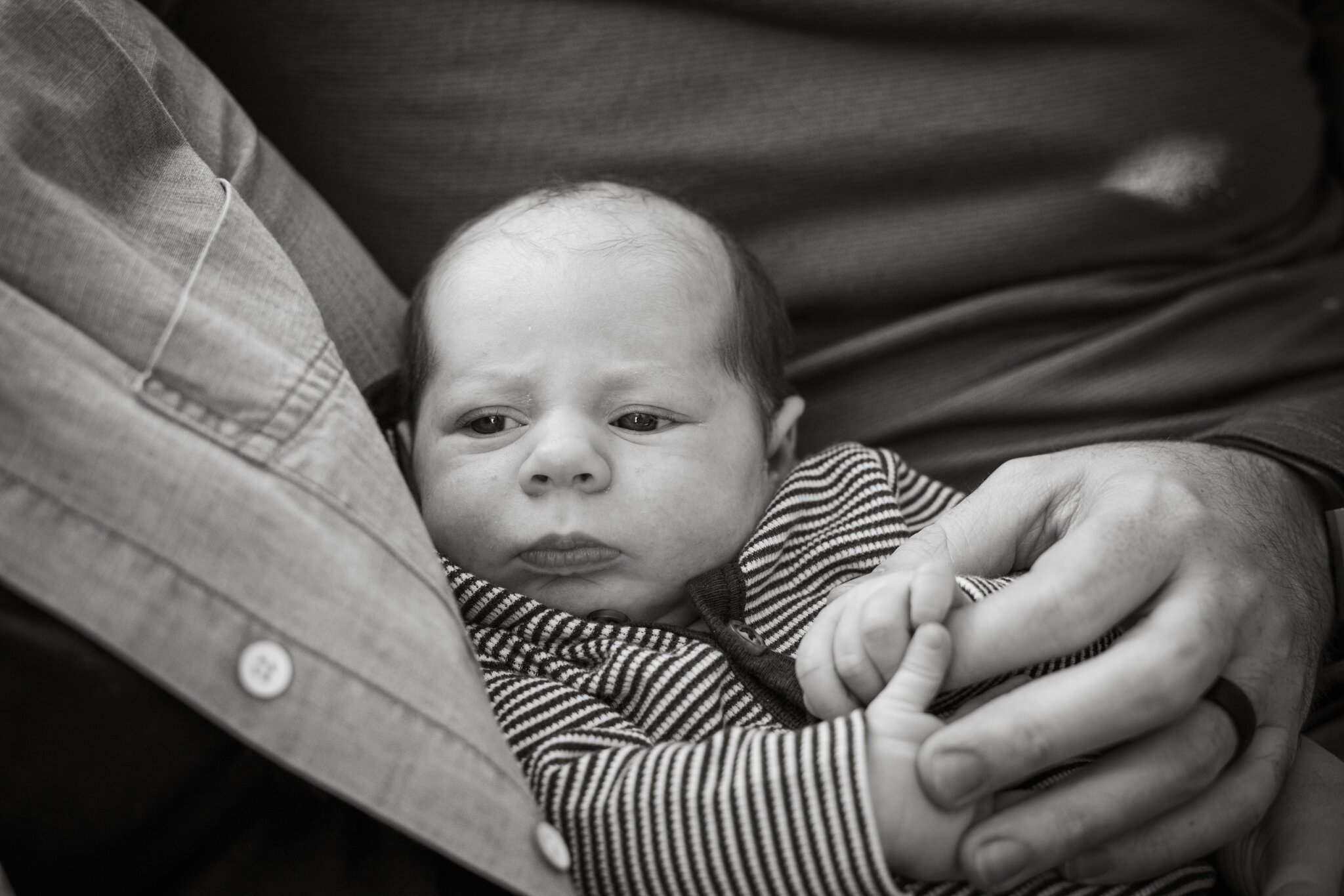 Buffalo Newborn Photographer-8.jpg