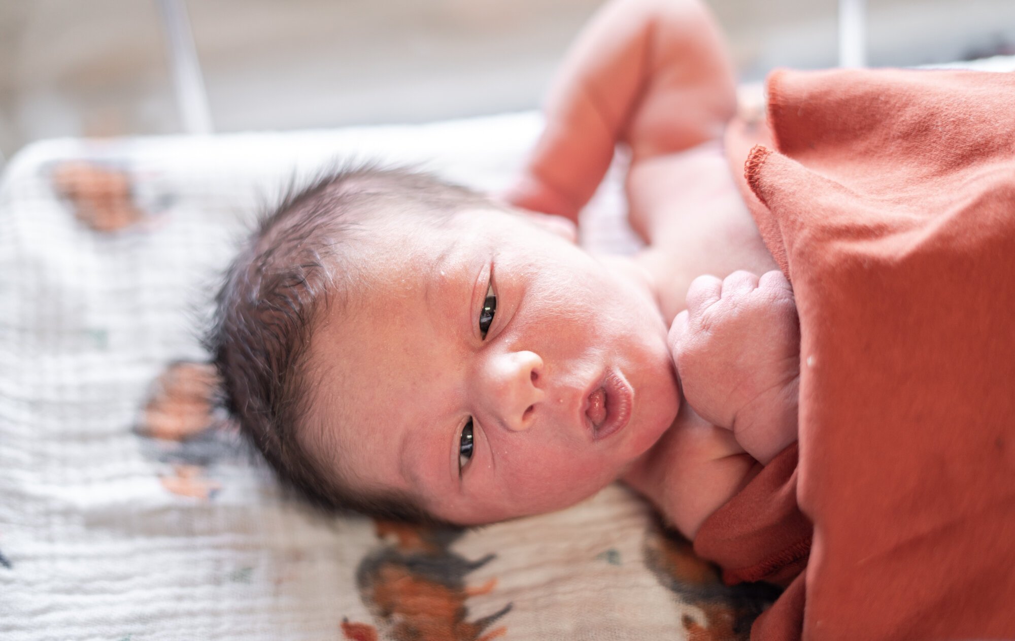 Buffalo Newborn Photographer-3.jpg