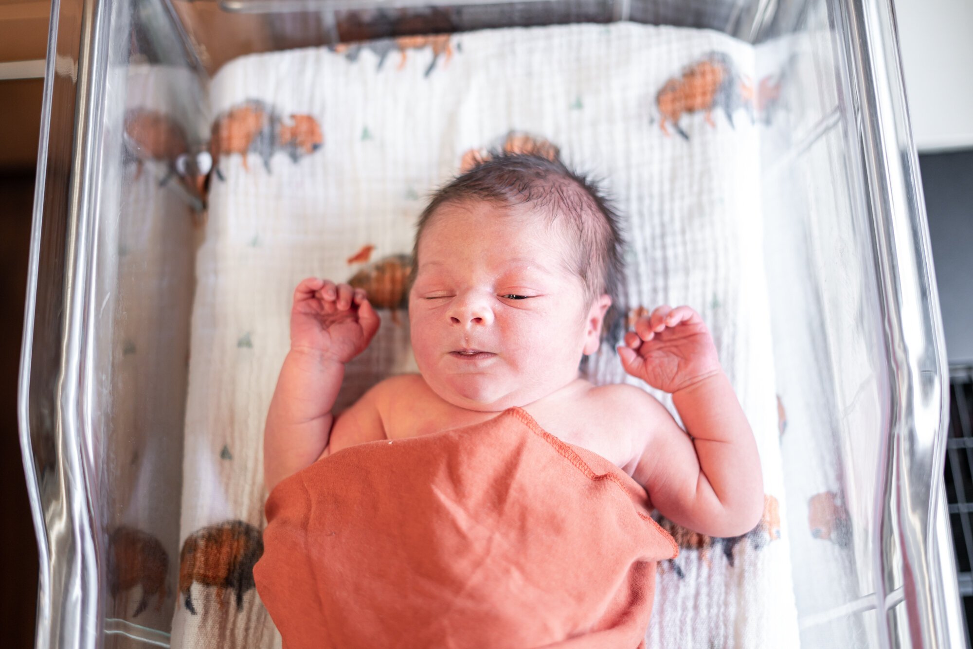 Buffalo Newborn Photographer-6.jpg