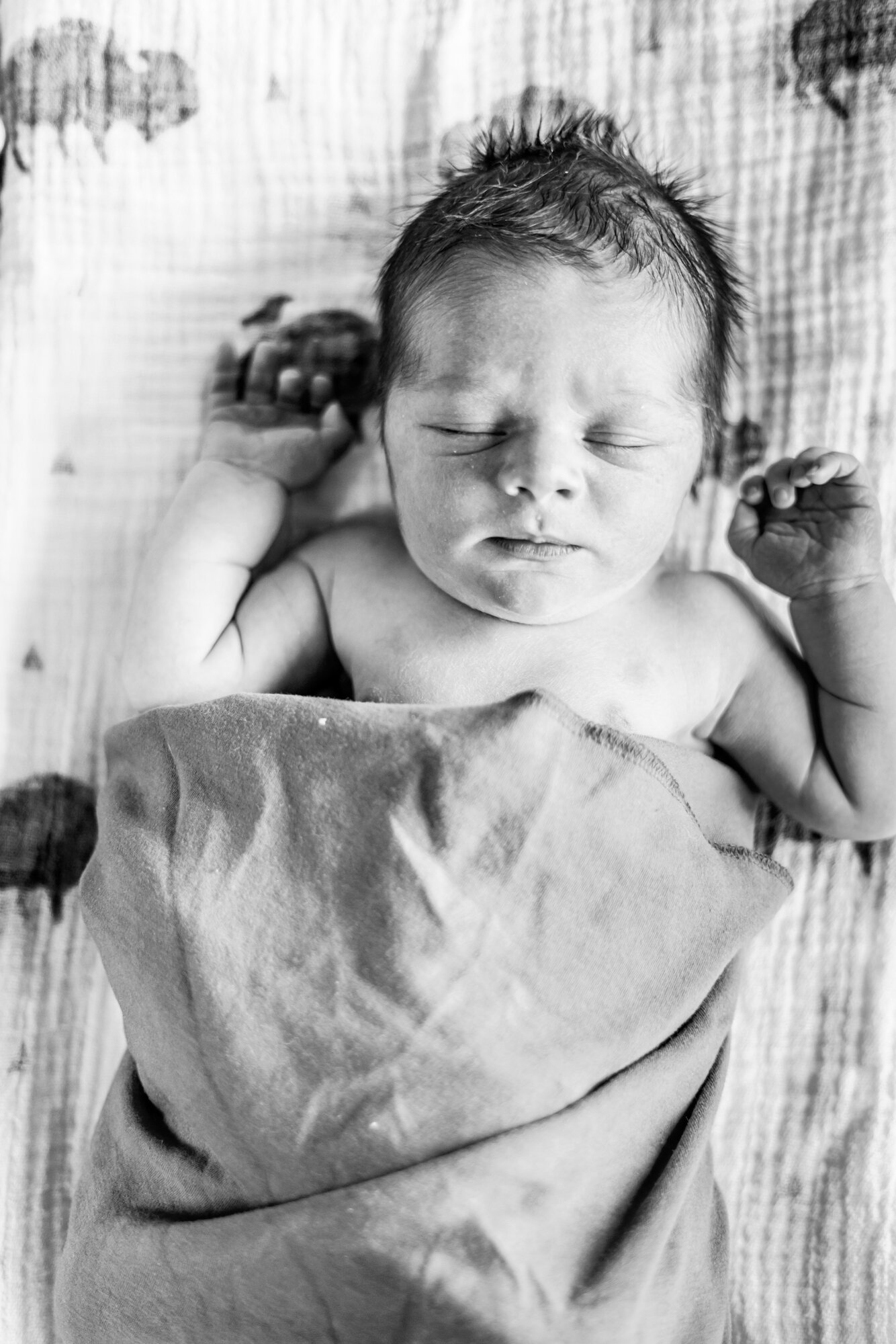 Buffalo Newborn Photographer-14.jpg