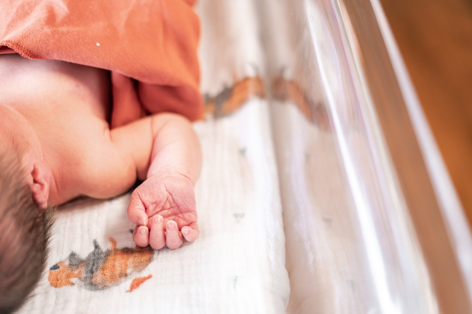 Buffalo Newborn Photographer-20.jpg