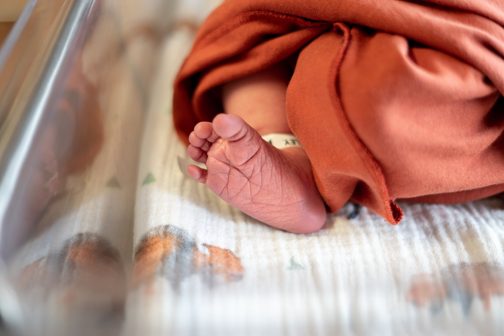 Buffalo Newborn Photographer-23.jpg