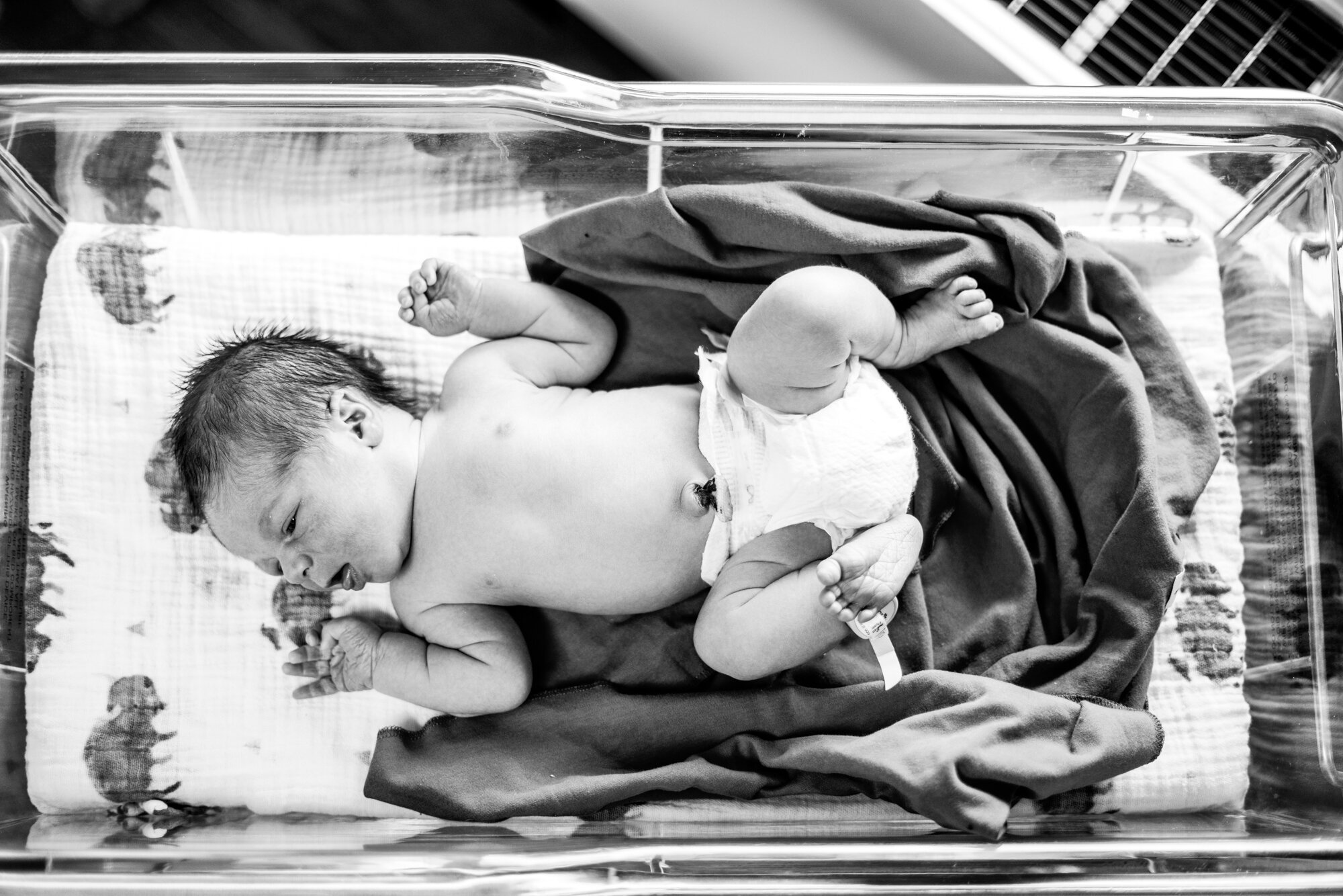 Buffalo Newborn Photographer-28.jpg