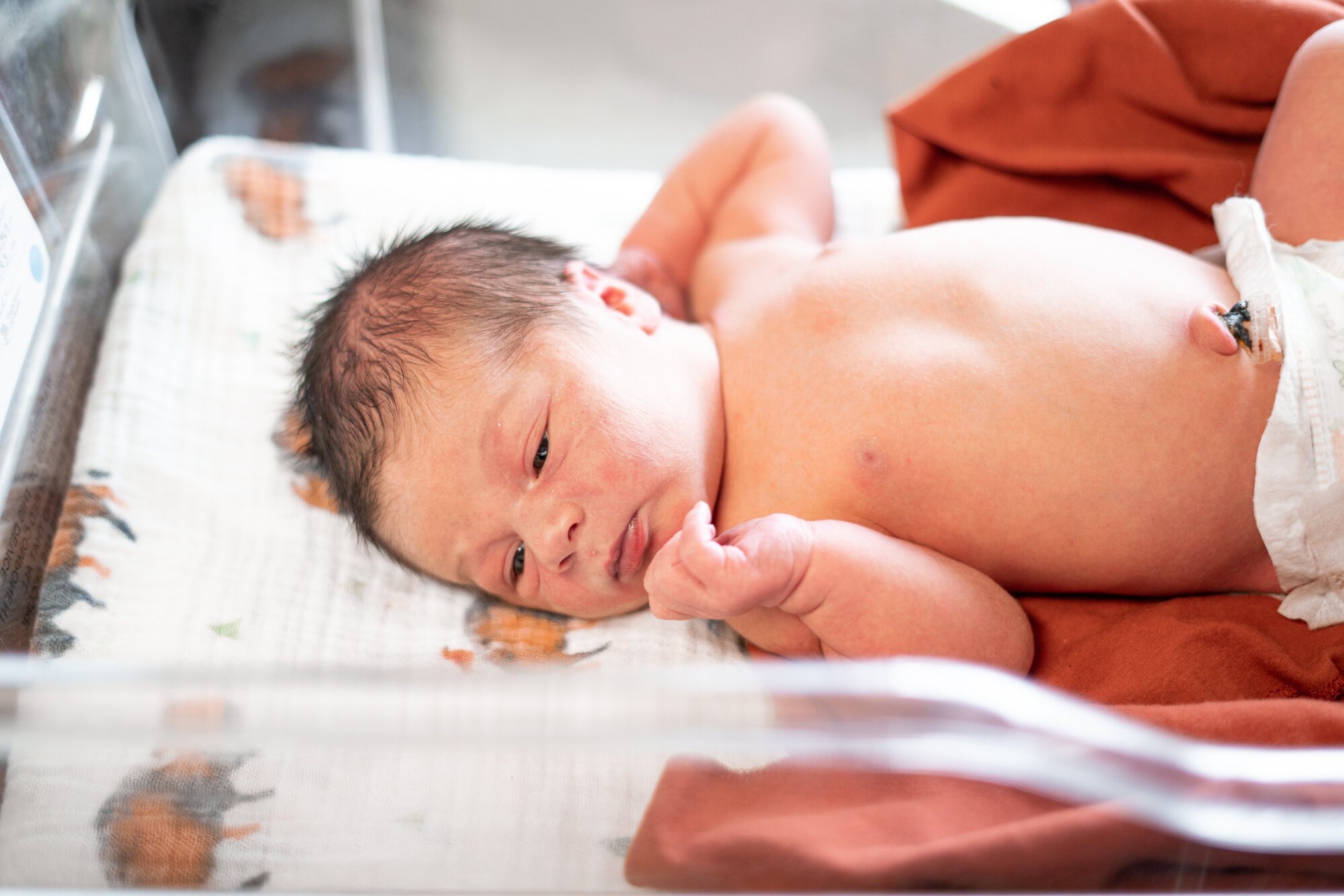 Buffalo Newborn Photographer-31.jpg