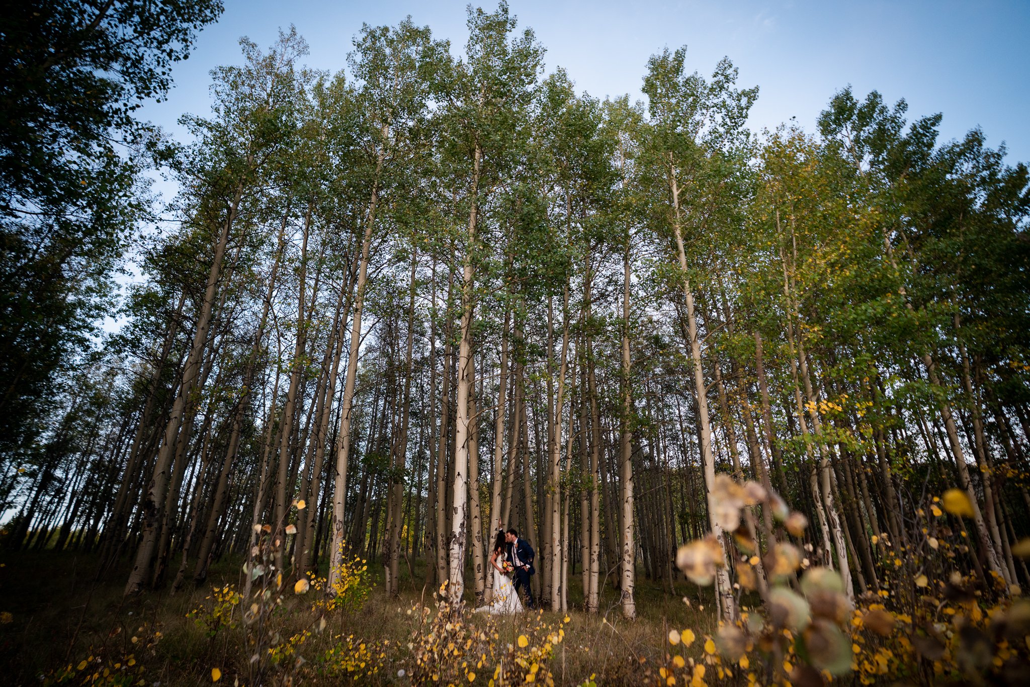 Colorado elopement photographer-70.jpg