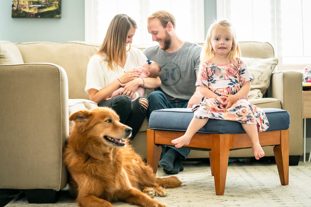 Buffalo Newborn Photographer