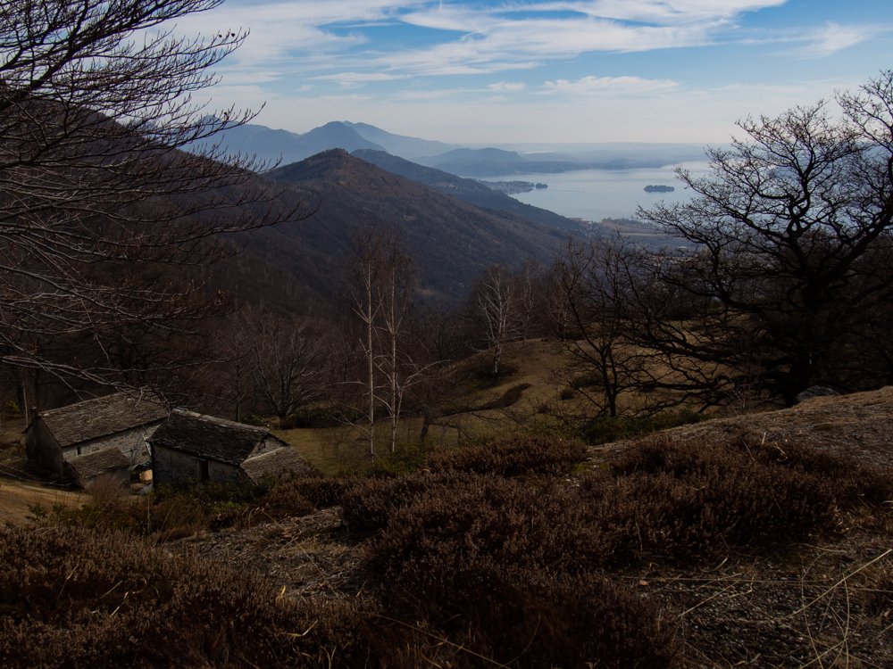 Scanavini_170226_0033.jpg
