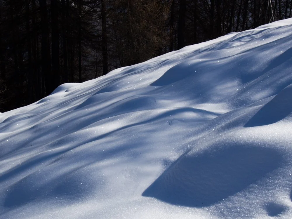 Scanavini_170219_0003.jpg