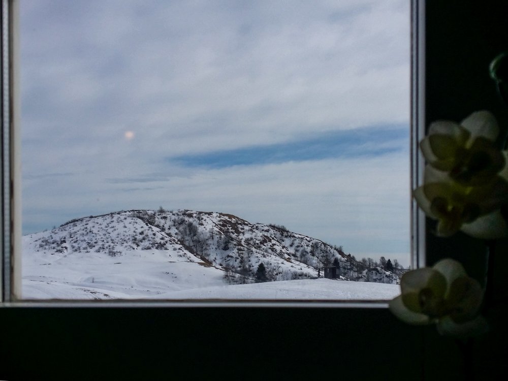 20170319_135709.jpg