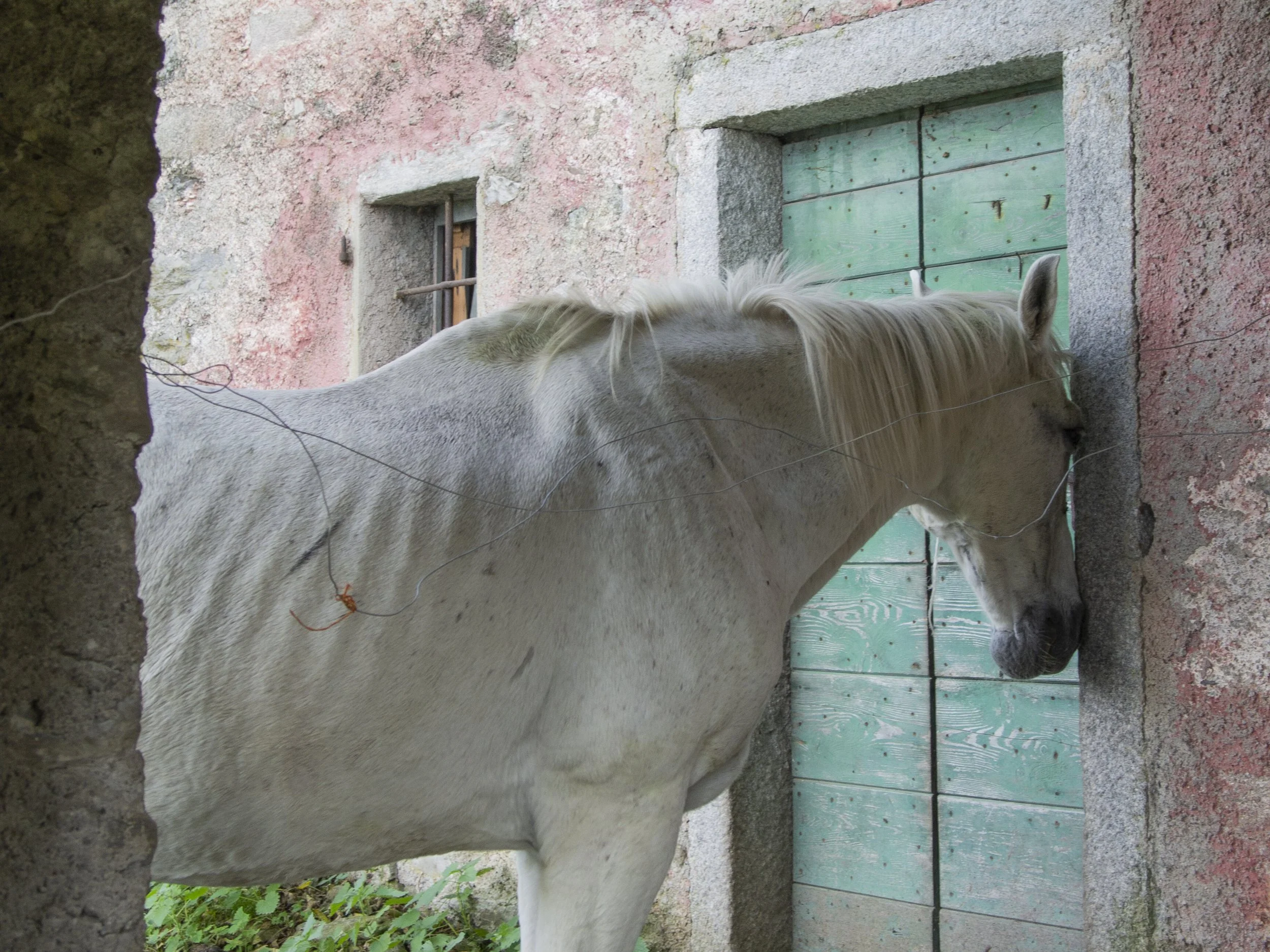 Scanavini_02.jpg