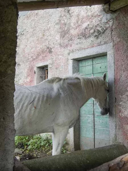 04102014-Scanavini.jpg