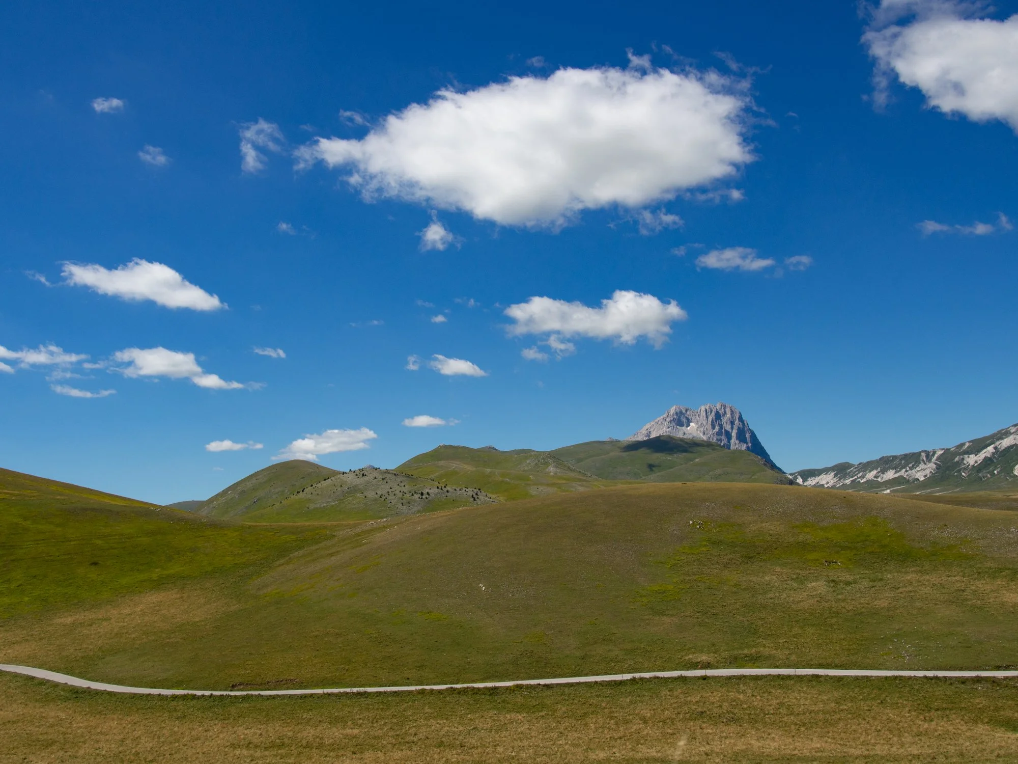 Scanavini_160814_0170.jpg