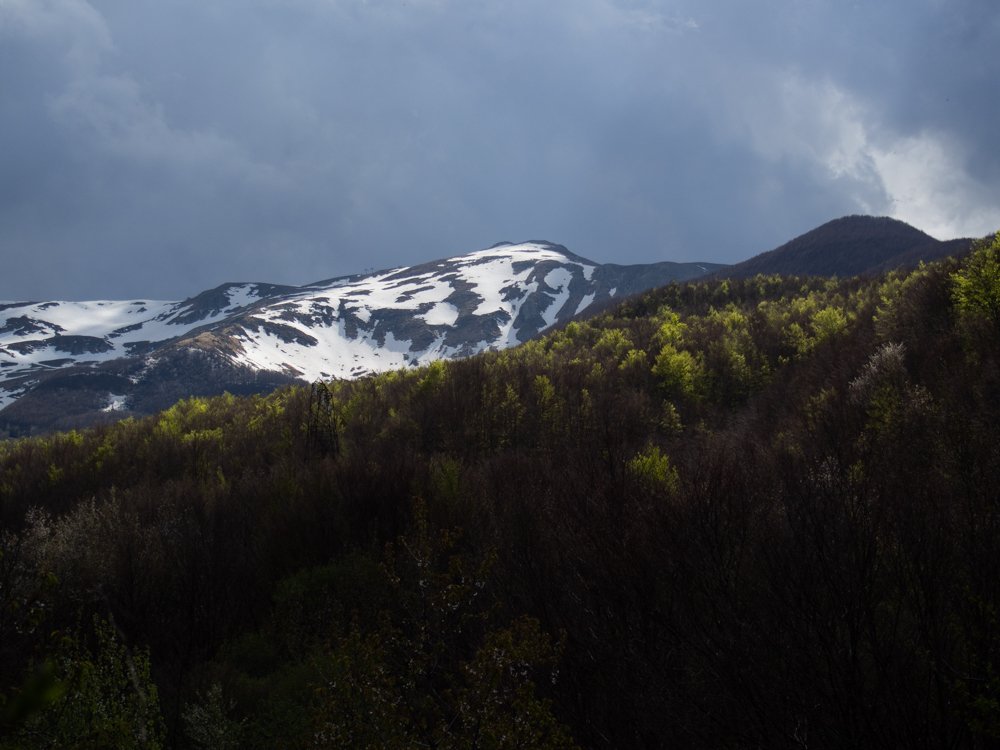 Scanavini_170416_0037.jpg
