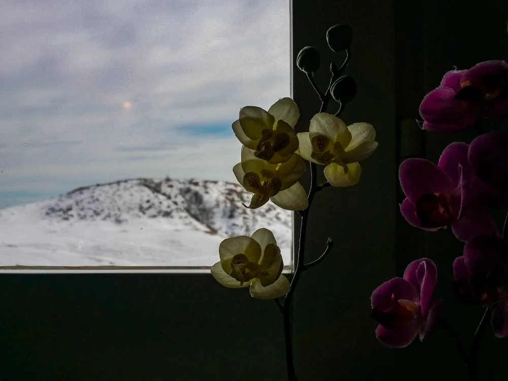 20170319_135702.jpg
