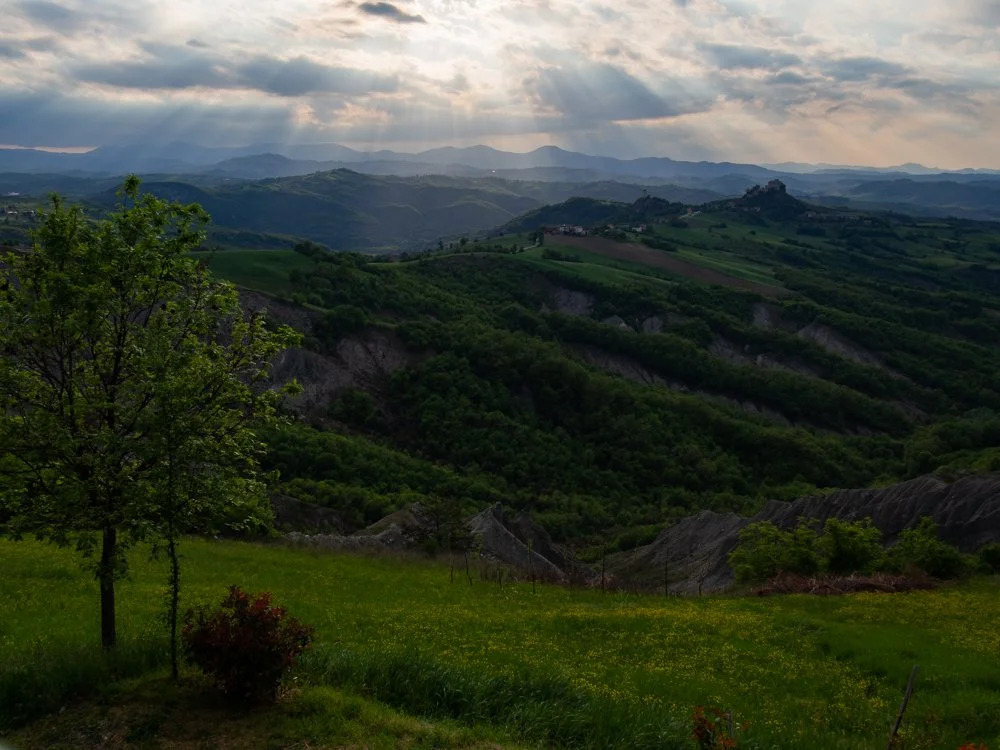 Scanavini_170417_0094.jpg