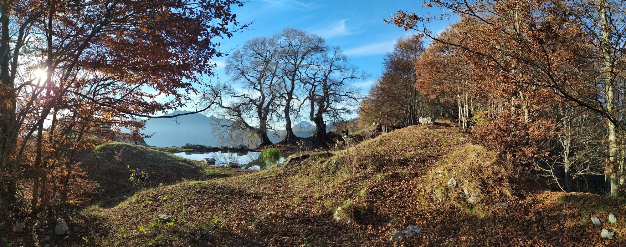 Scanavini_201031_0075.jpg