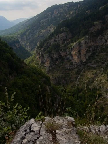 Scanavini_160820_0634.jpg