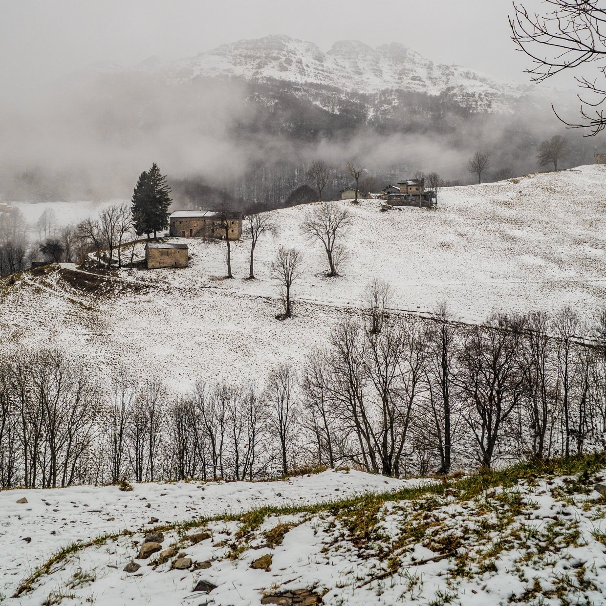Scanavini_231209_0013.jpg
