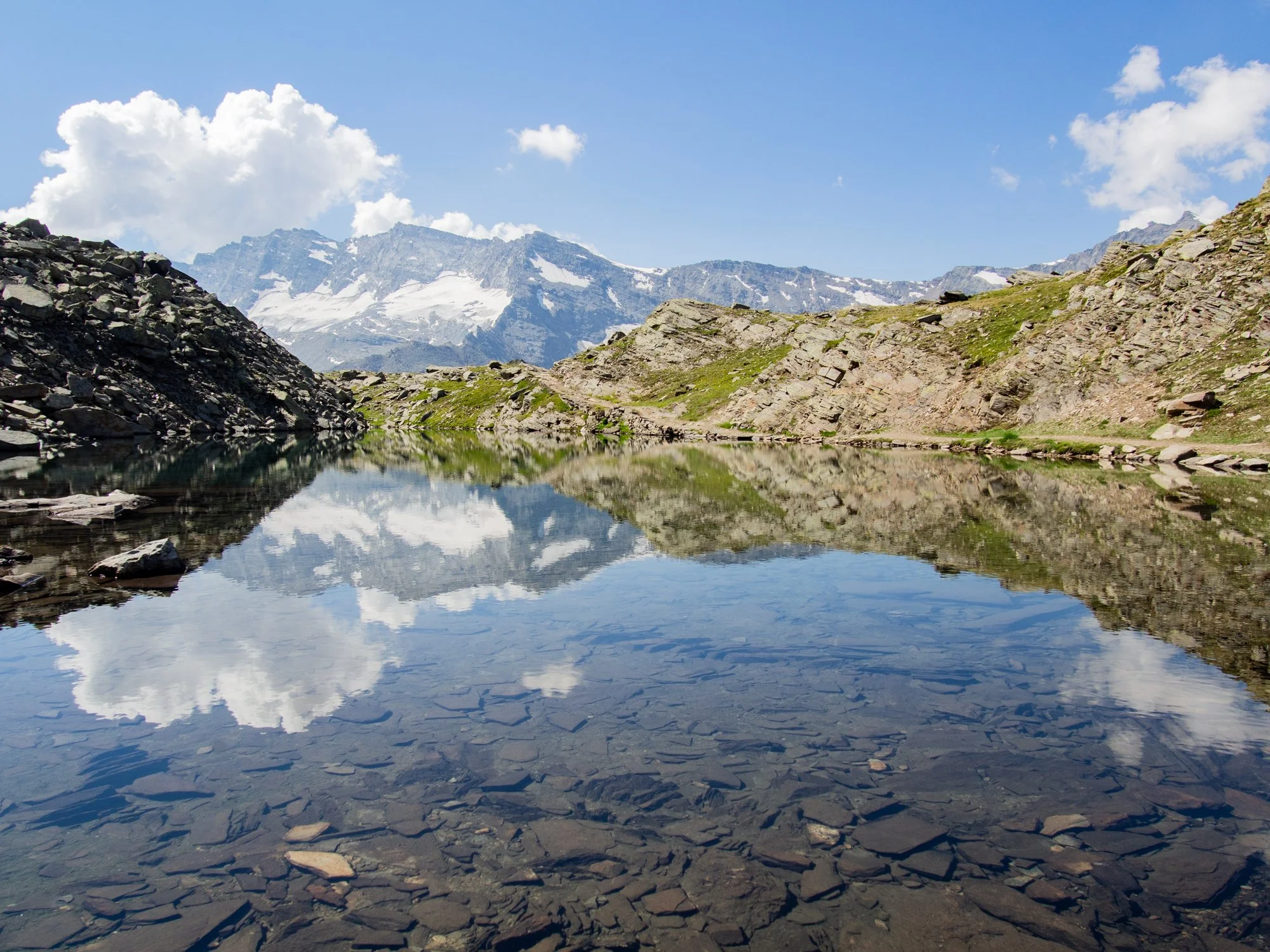 Scanavini_180804_0715.jpg