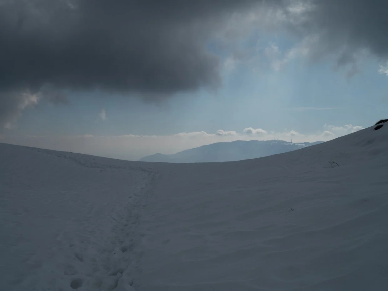 Scanavini_240316_0052.jpg