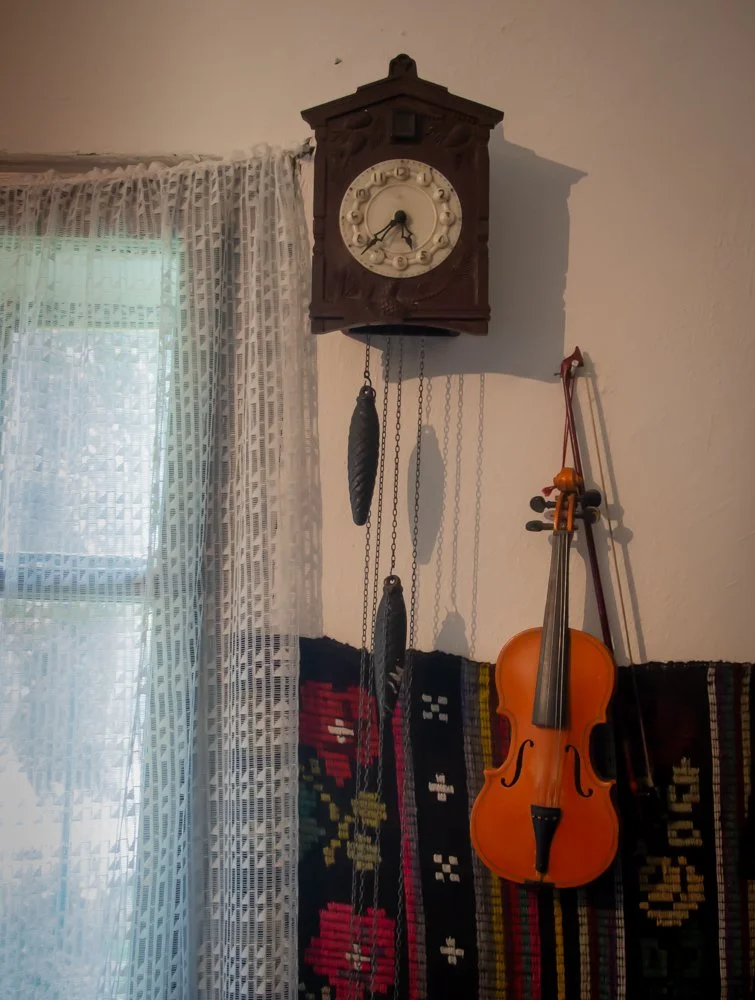 49_8180708.jpg