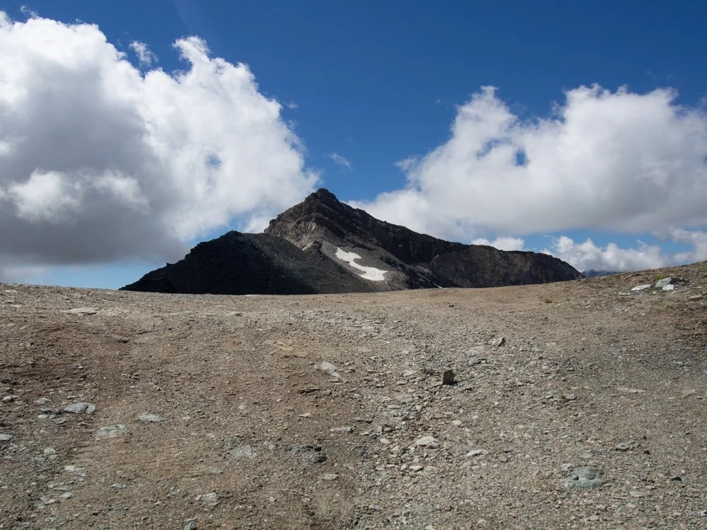 Scanavini_180815_0490.jpg