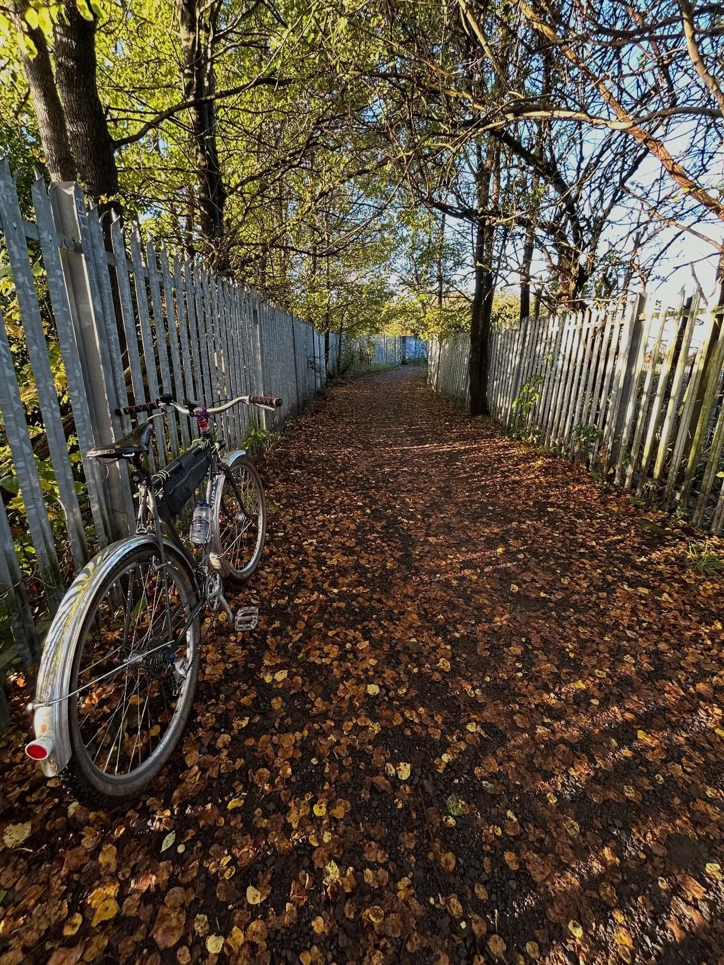 Autumn is here, get the mudguard bikes out!!!
@surlybikesuk 
#mudguards #autumn #cycling #bicycles #steelisreal #surlypackrat #surlybikes