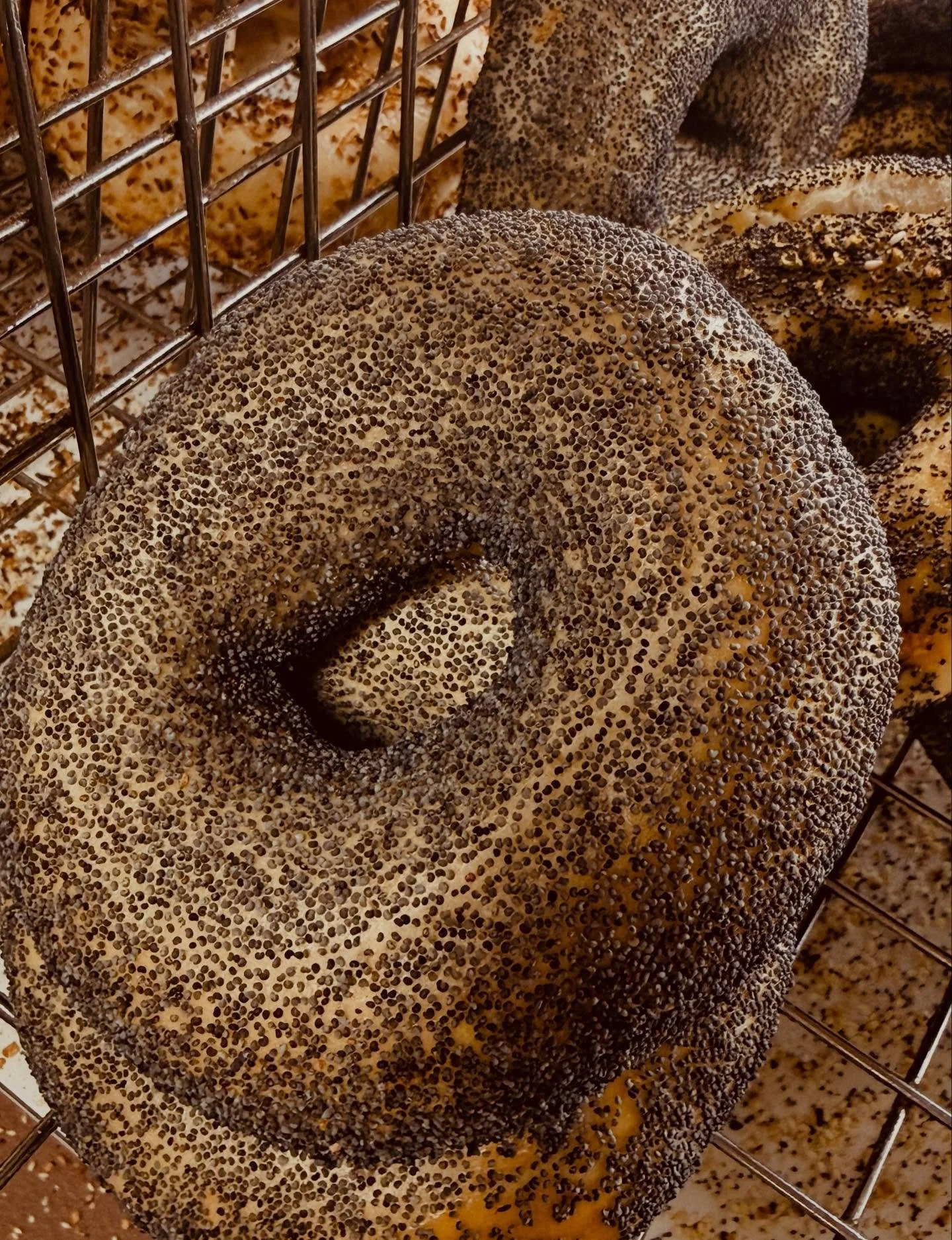 Snacks for our Winter Wonderland 😜  #notyourtypicalbagelshop #earlymorningflavortown #bigdavesbagels #50yearsofplatterwork #worldfamouskweenies #bestinnewhampshirebagels