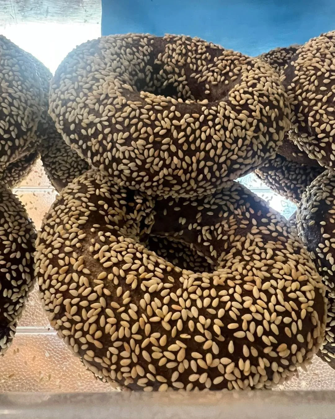 Been a fun Vacation Week here at the shop ❤️ #notyourtypicalbagelshop #earlymorningflavortown #bigdavesbagels #50yearsofplatterwork #worldfamouskweenies #bestinnewhampshirebagels