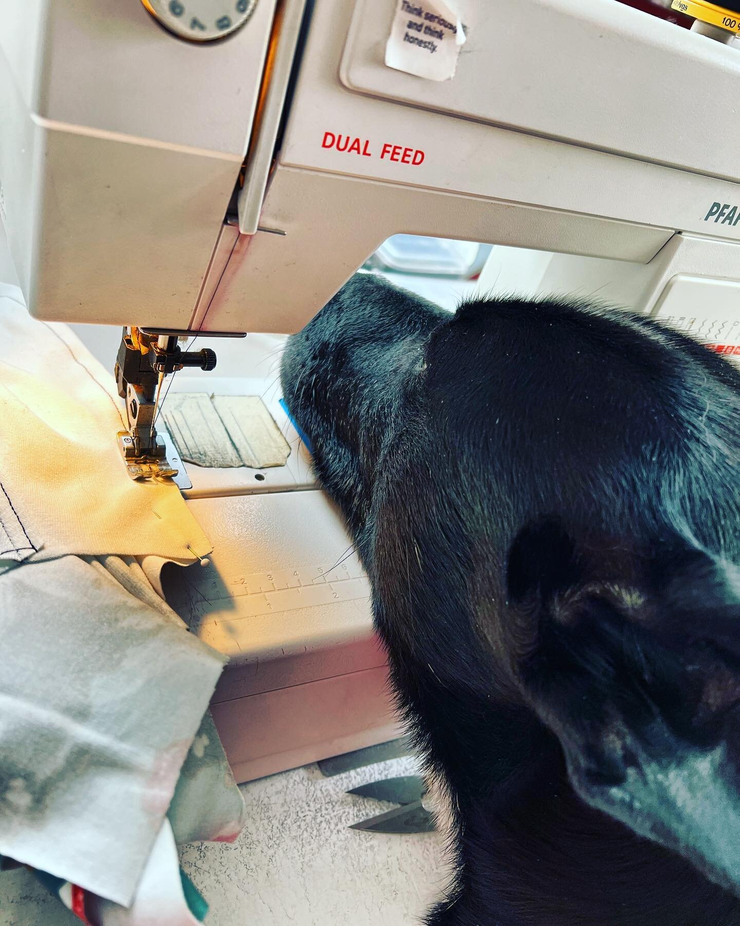I promise I am trying to make new items for this weekend&rsquo;s show @greenconnection907. 

Fur included. 

#husky #ineedattention #tryingtowork #makersgonnamake #anchorage #madeinalaska