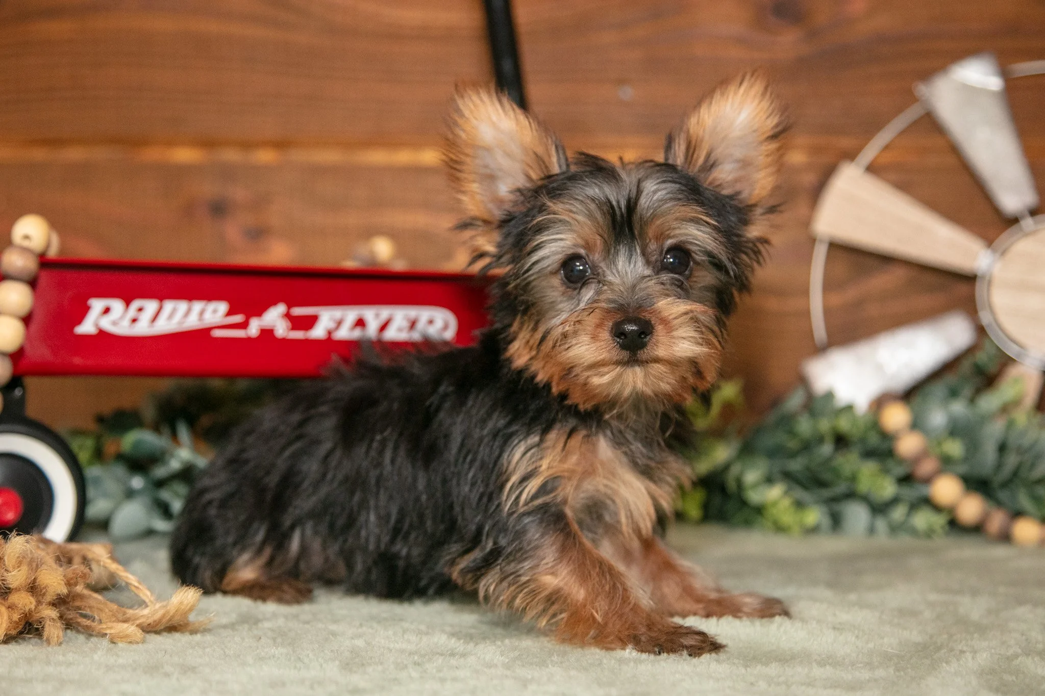 Reggie  - $1,000