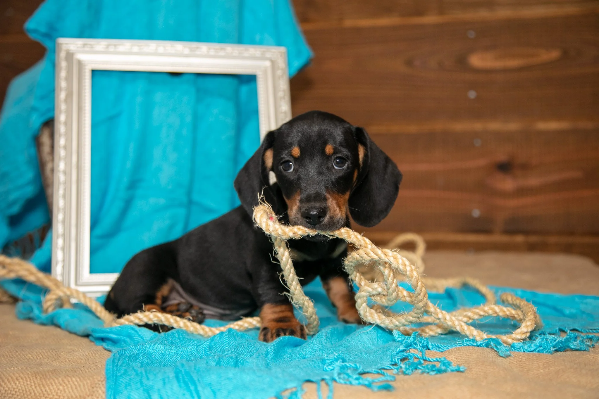 Benson - $950