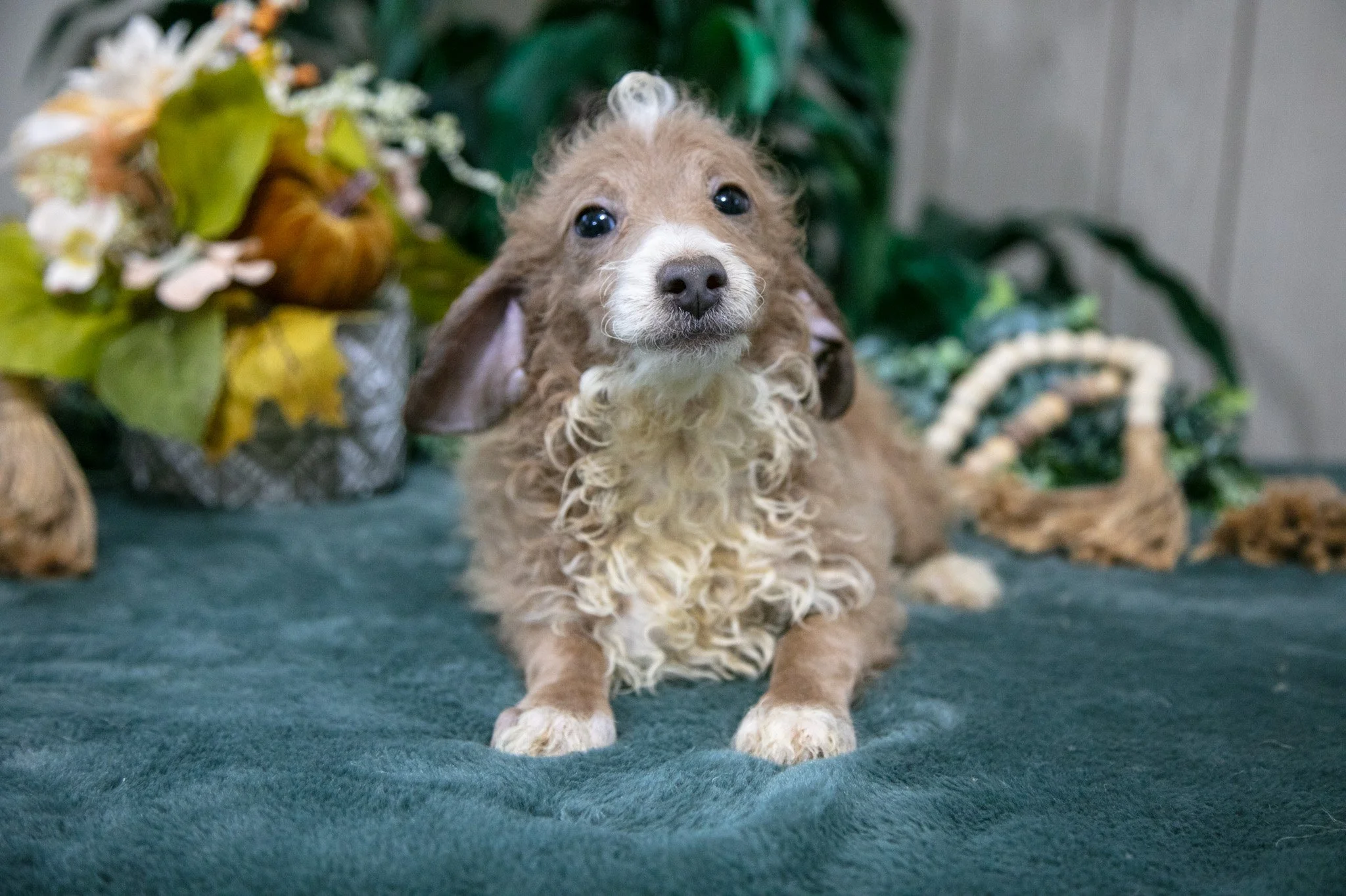 Bono - $700