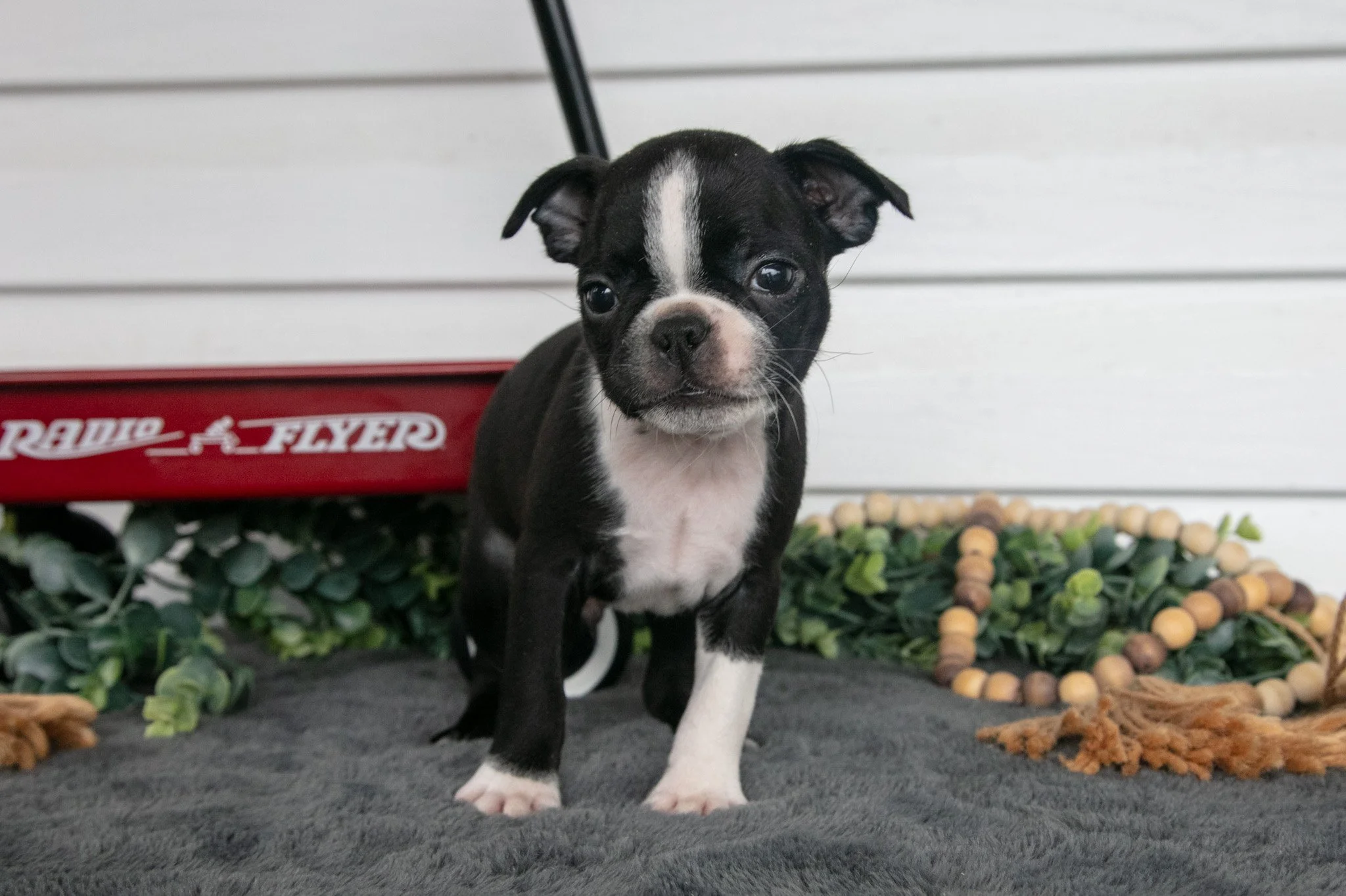 Mr GoodBar - $695
