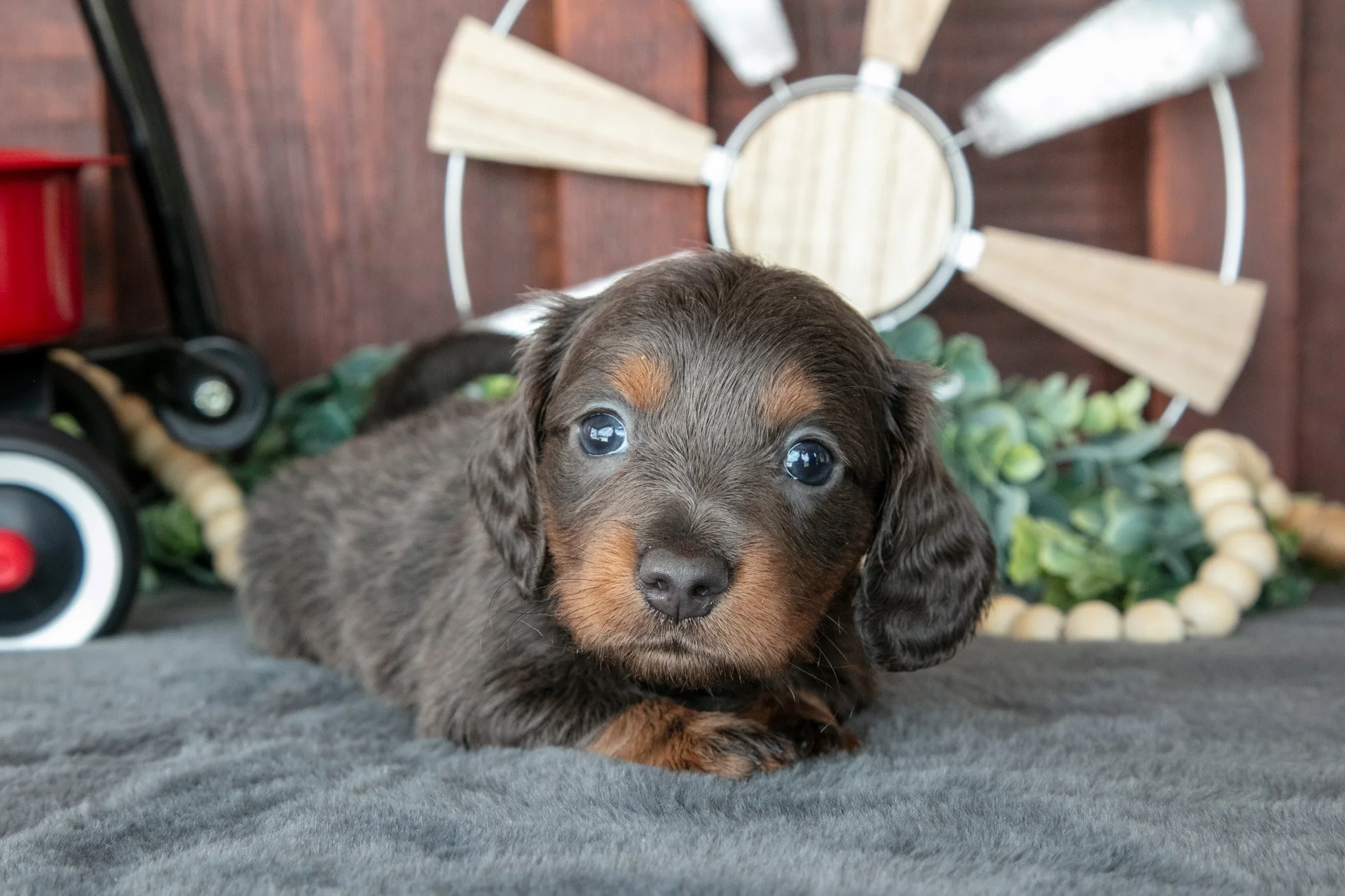 Ben - $1,400
